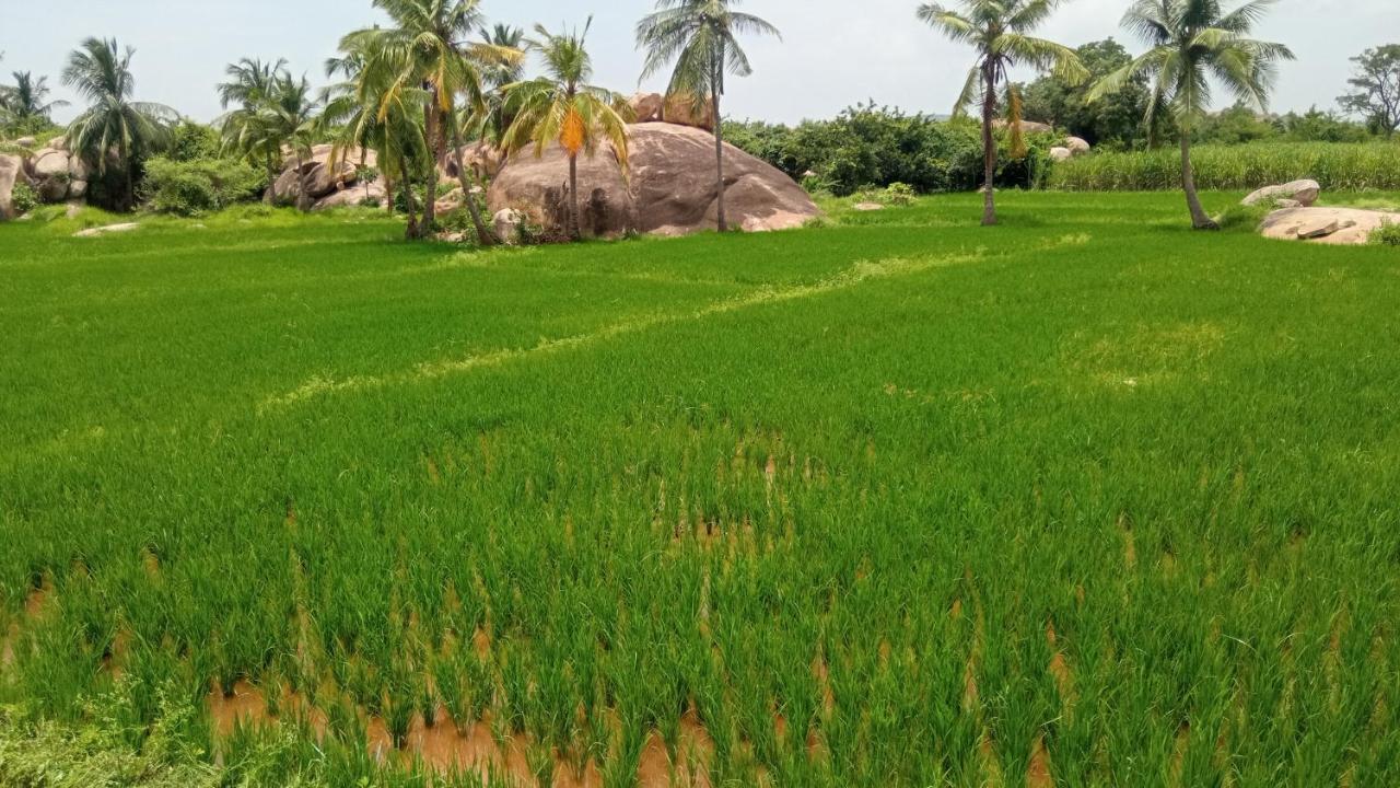 Gopi Plantation Homestay Hampi Exterior photo