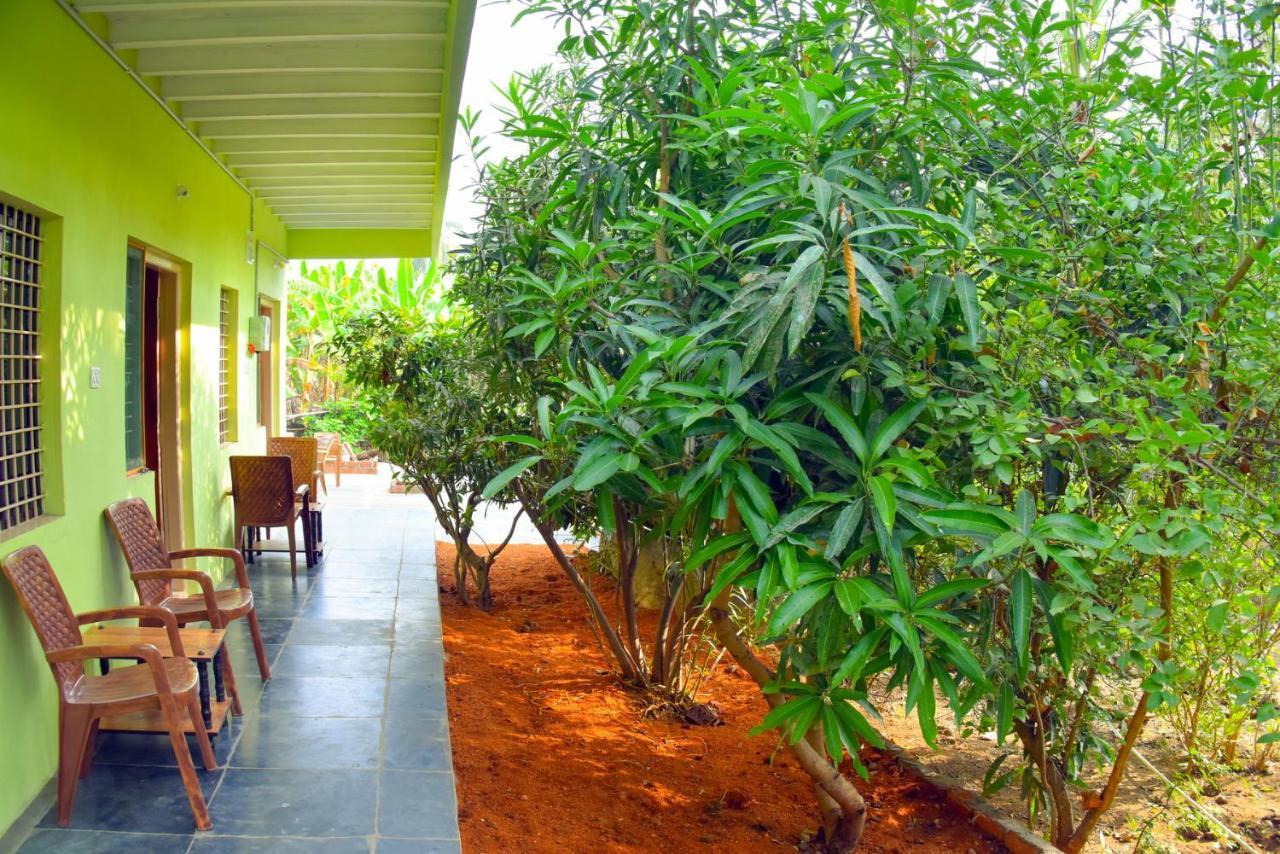Gopi Plantation Homestay Hampi Exterior photo